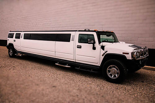 18 party bus